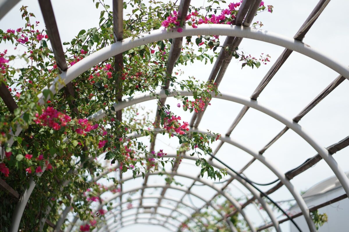 simulation pergola configurateurs données techniques manquent