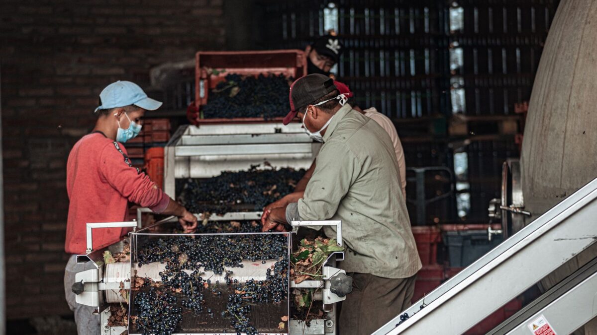climatiseur cave vin coûts durabilité fiches